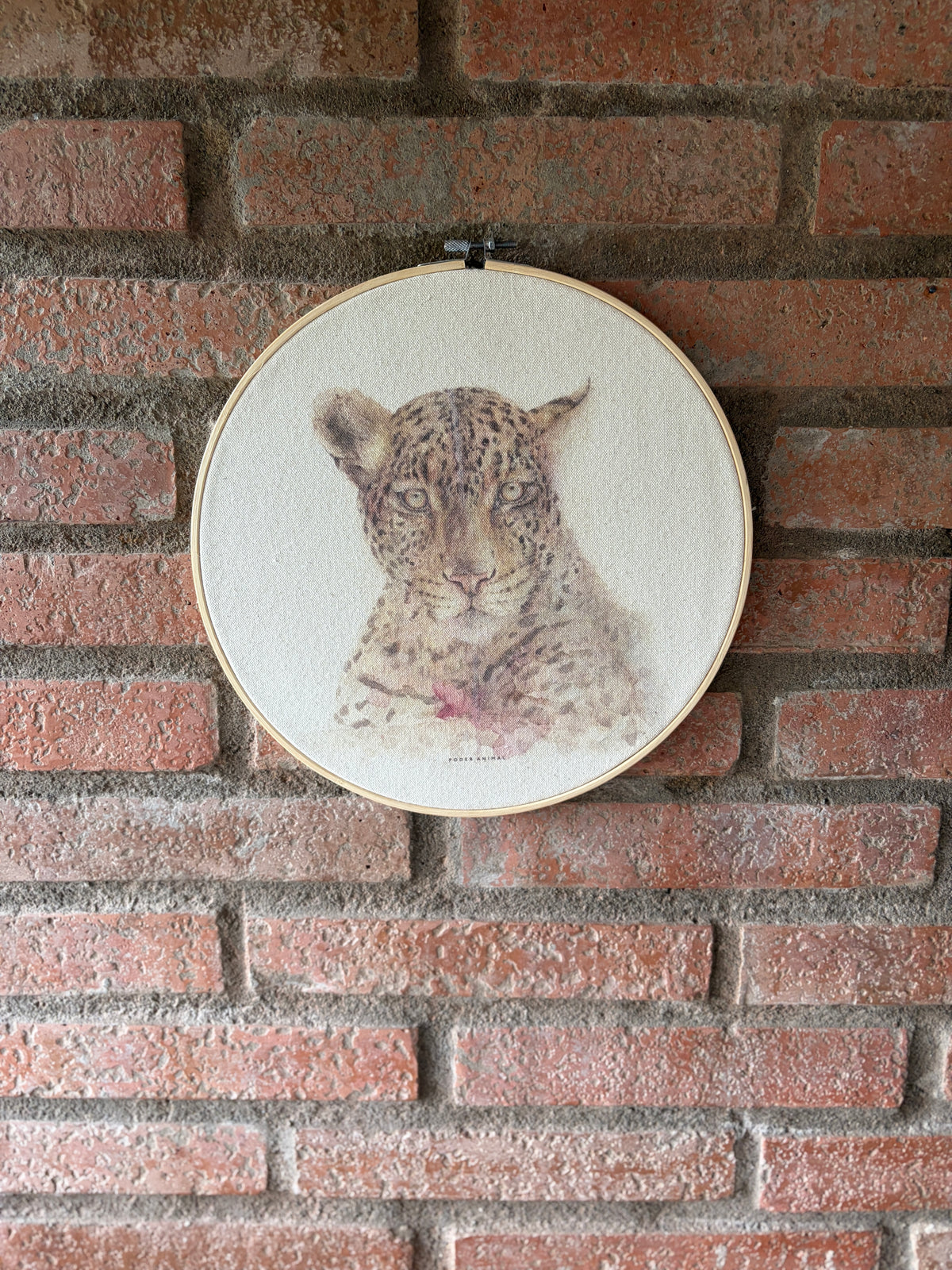 Textil redondo | Jaguar