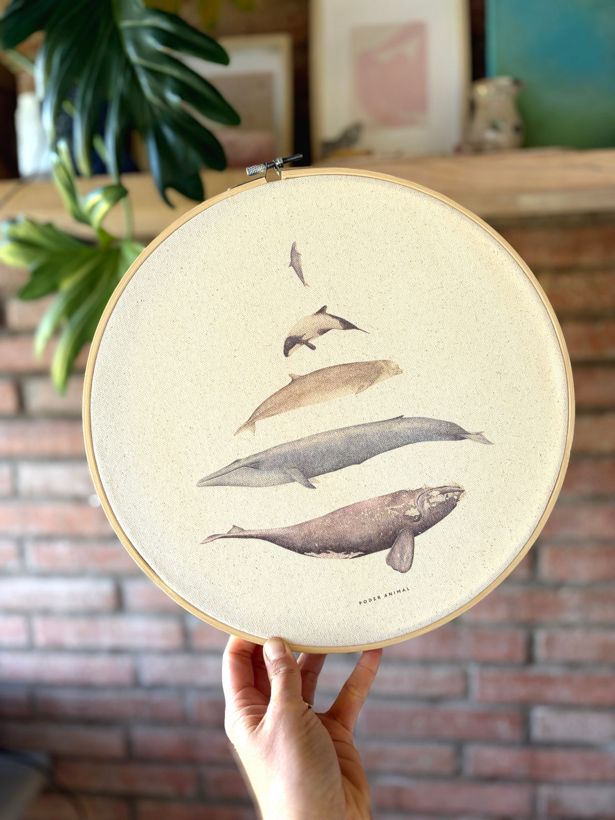 Textil redondo | Ballenas