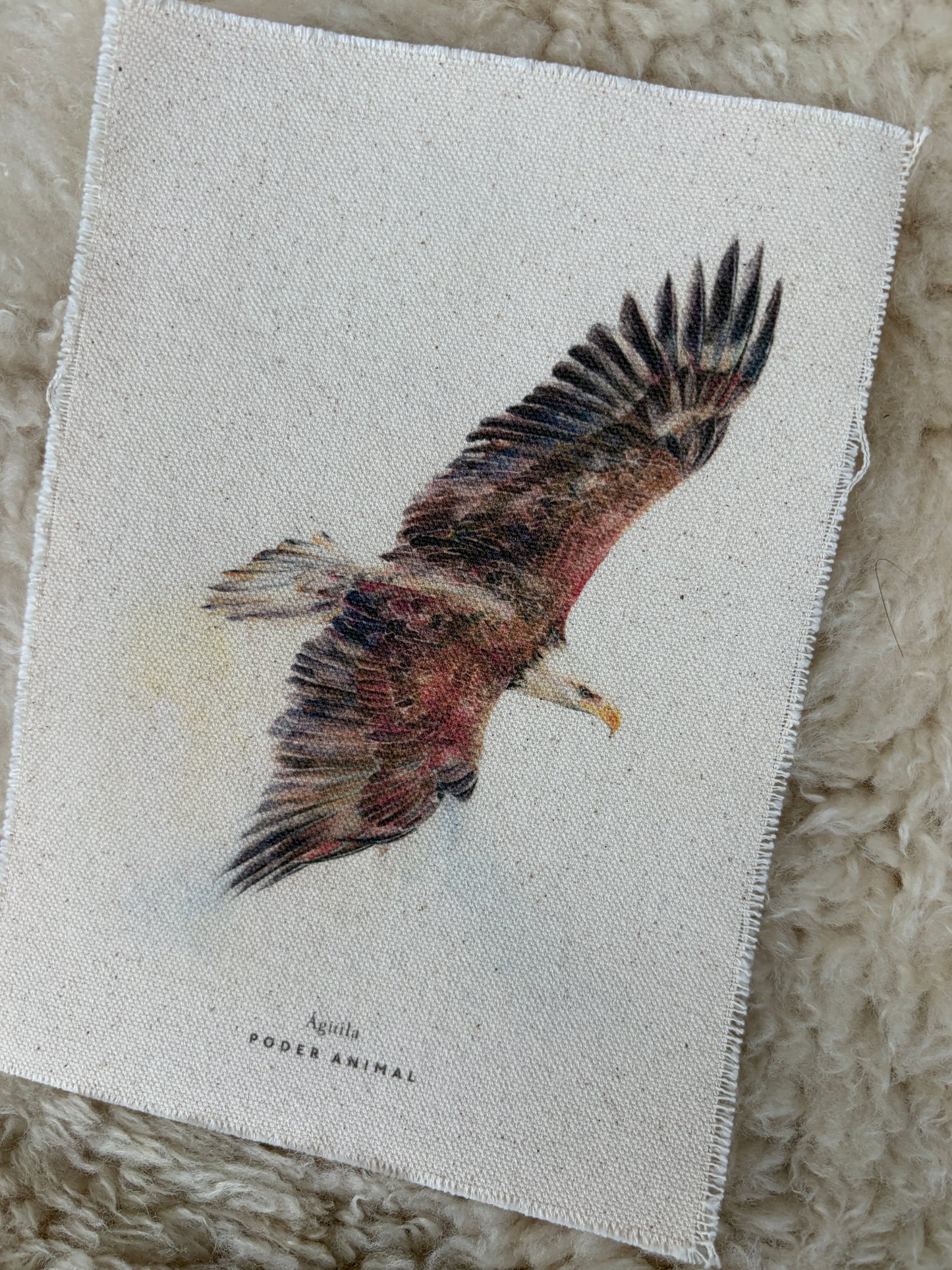 Textil | Águila