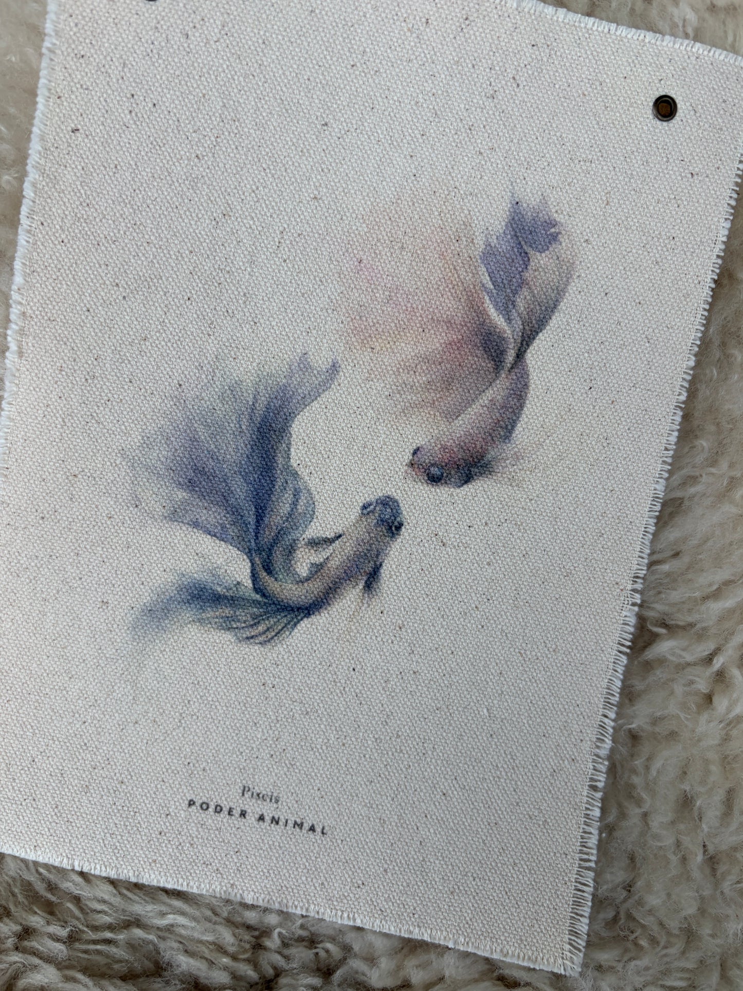 Banderín Colección Zodiaco