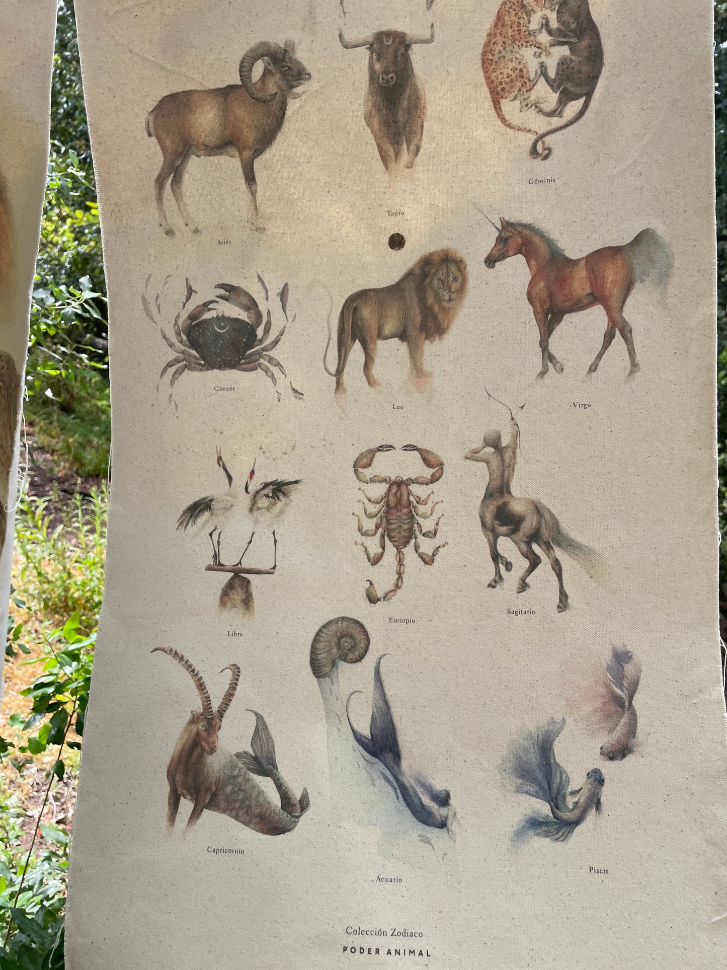 Textil | Colección Zodiaco
