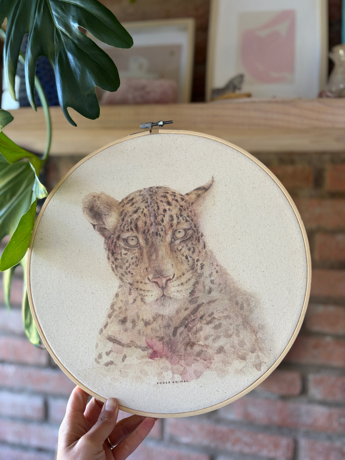 Textil  redondo |  Jaguar
