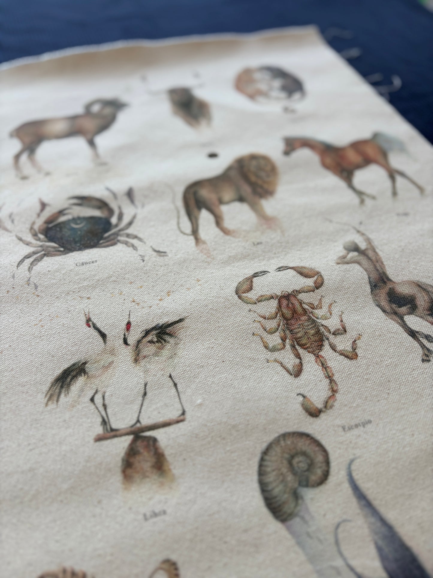 Textil  |  Colección Zodiaco