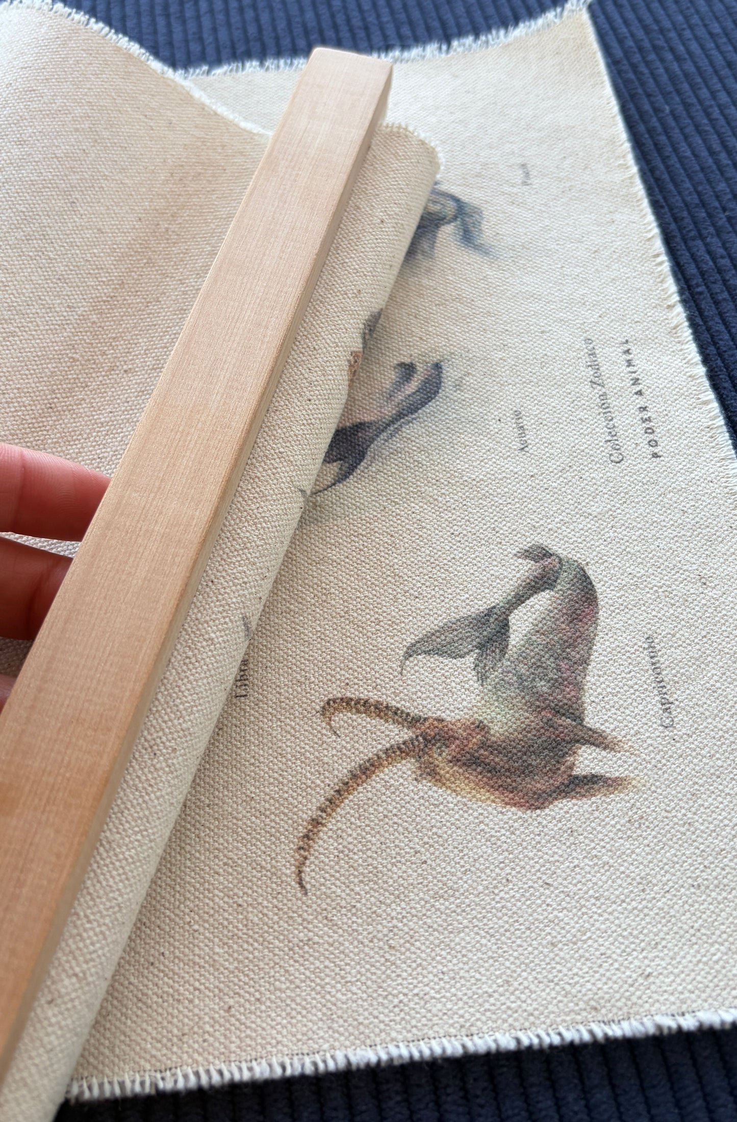 Textil  |  Colección Zodiaco