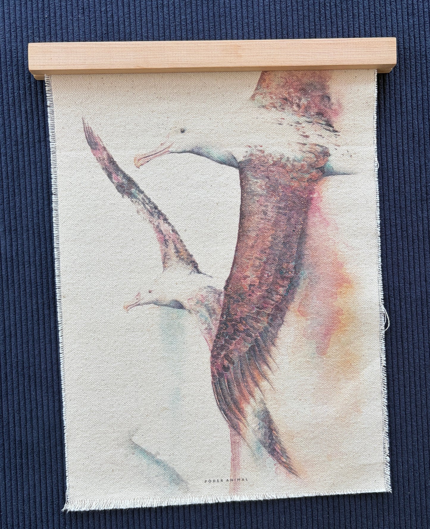 Textil  |  Albatros