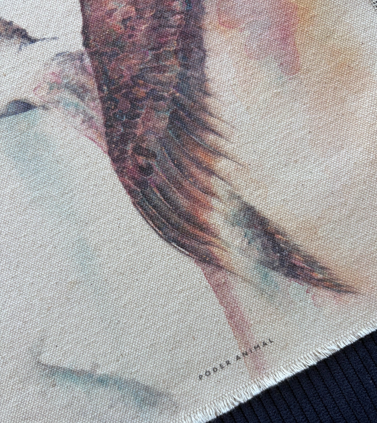 Textil  |  Albatros