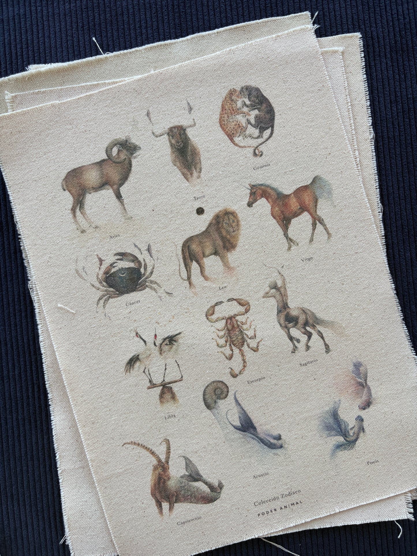 Textil  |  Colección Zodiaco