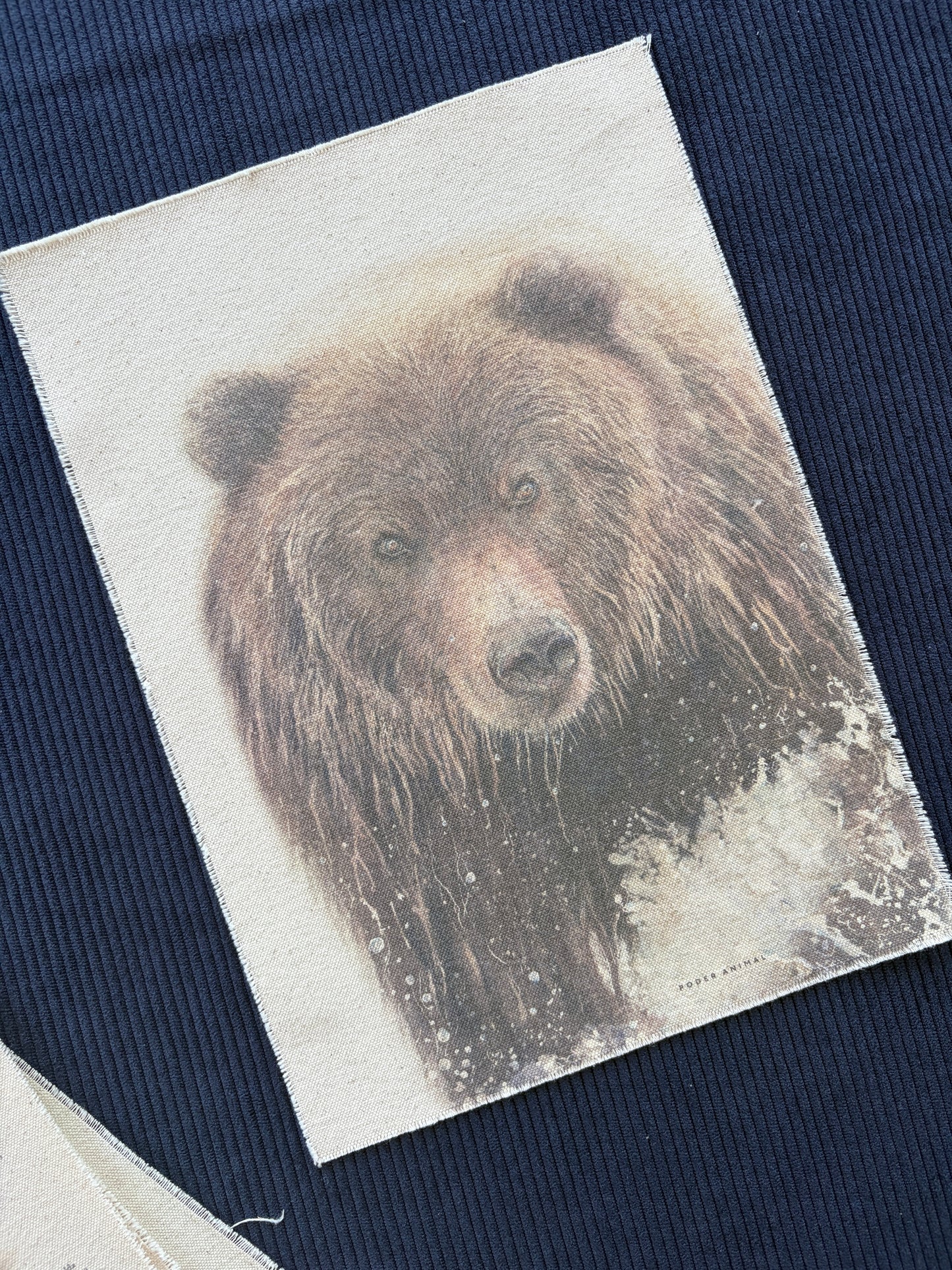 Textil  |  Oso