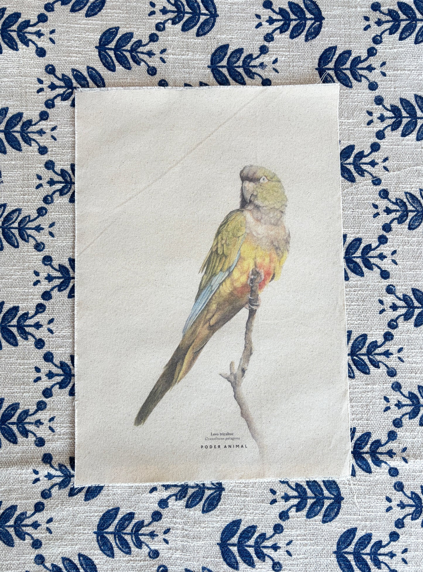 Textil  |  Loro Tricahue