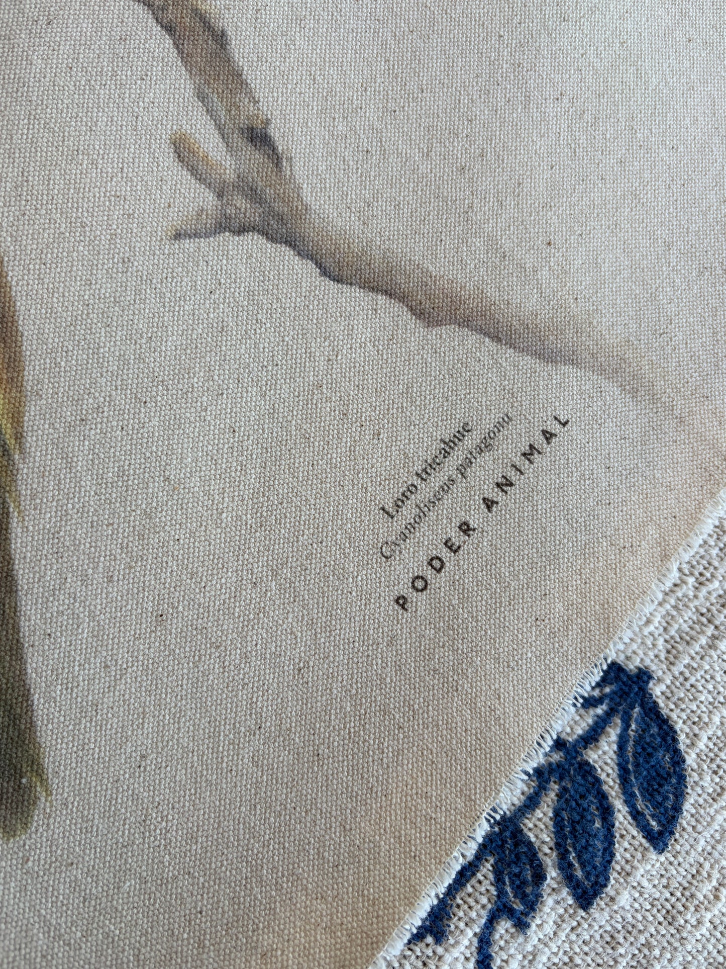 Textil  |  Loro Tricahue