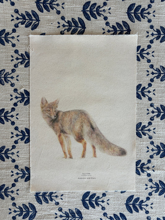 Textil  |  Zorro Chilla