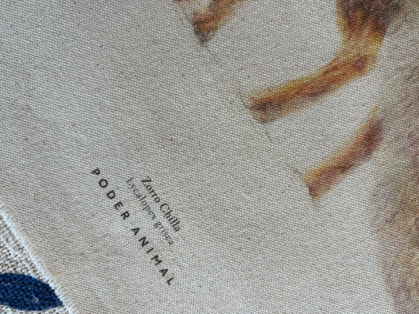 Textil  |  Zorro Chilla