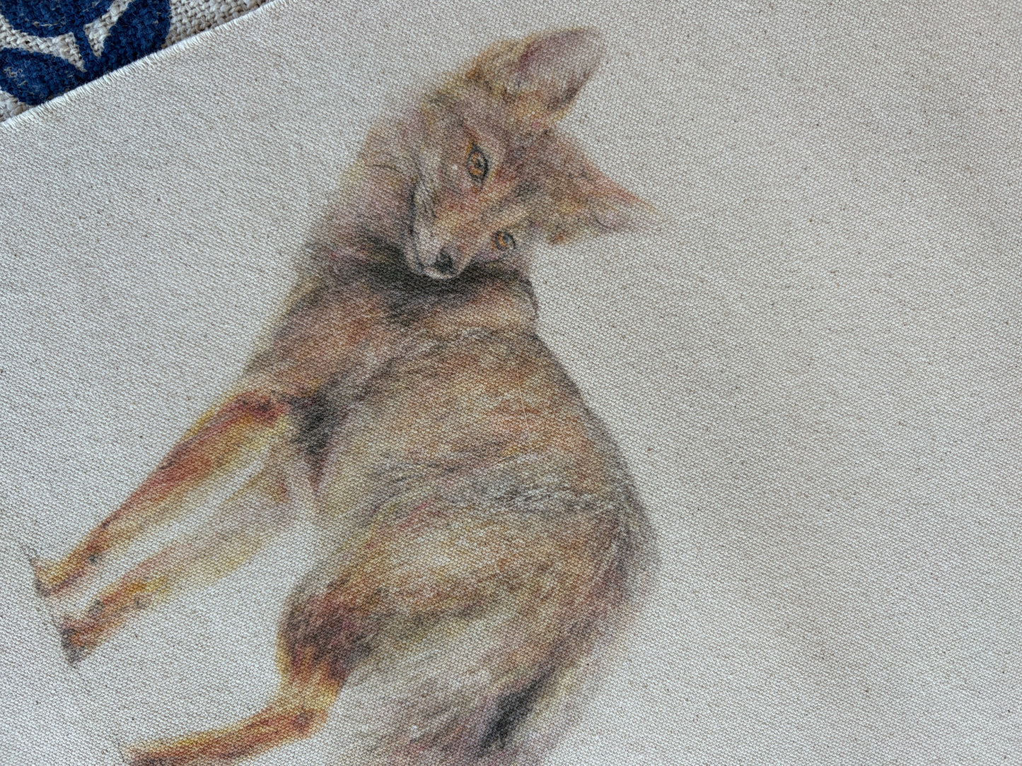 Textil  |  Zorro Chilla