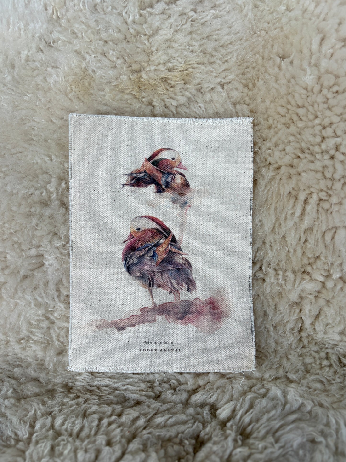 Textil  |  Pato Mandarín