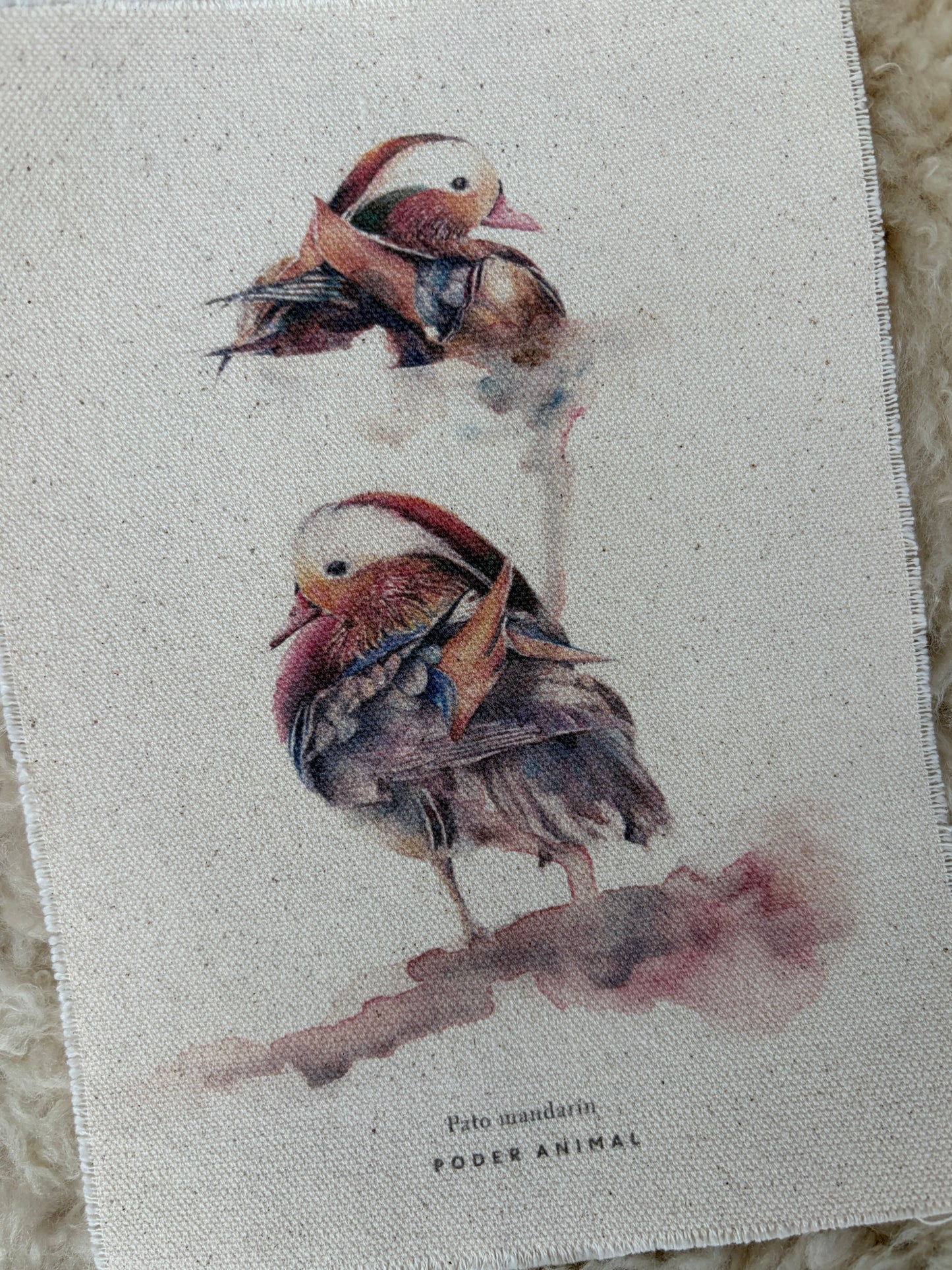 Textil  |  Pato Mandarín