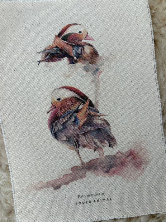 Textil  |  Pato Mandarín