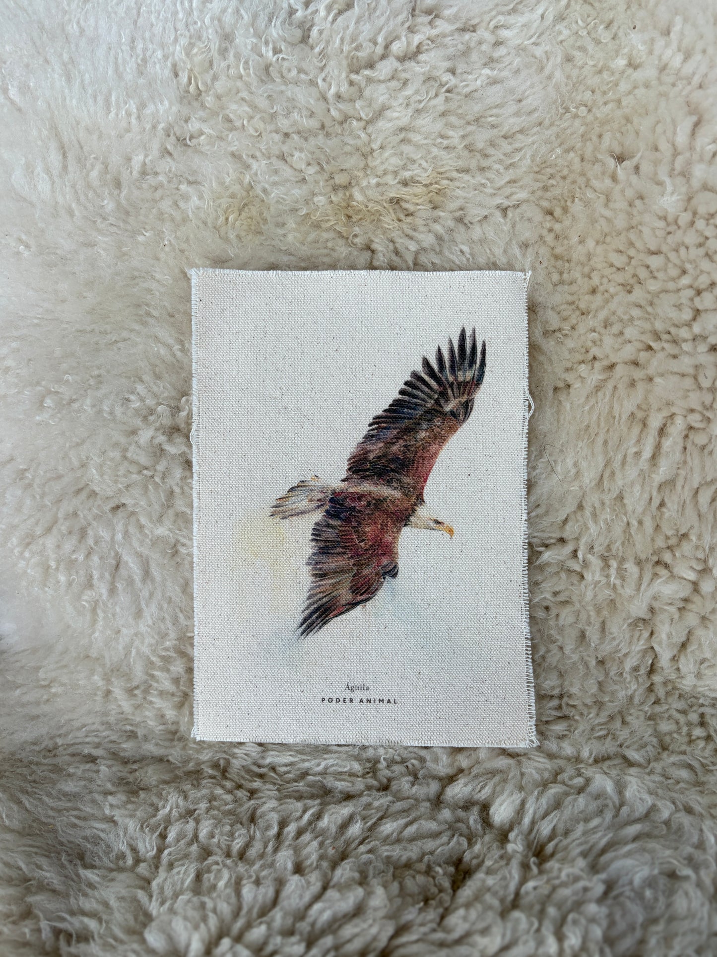 Textil  |  Águila