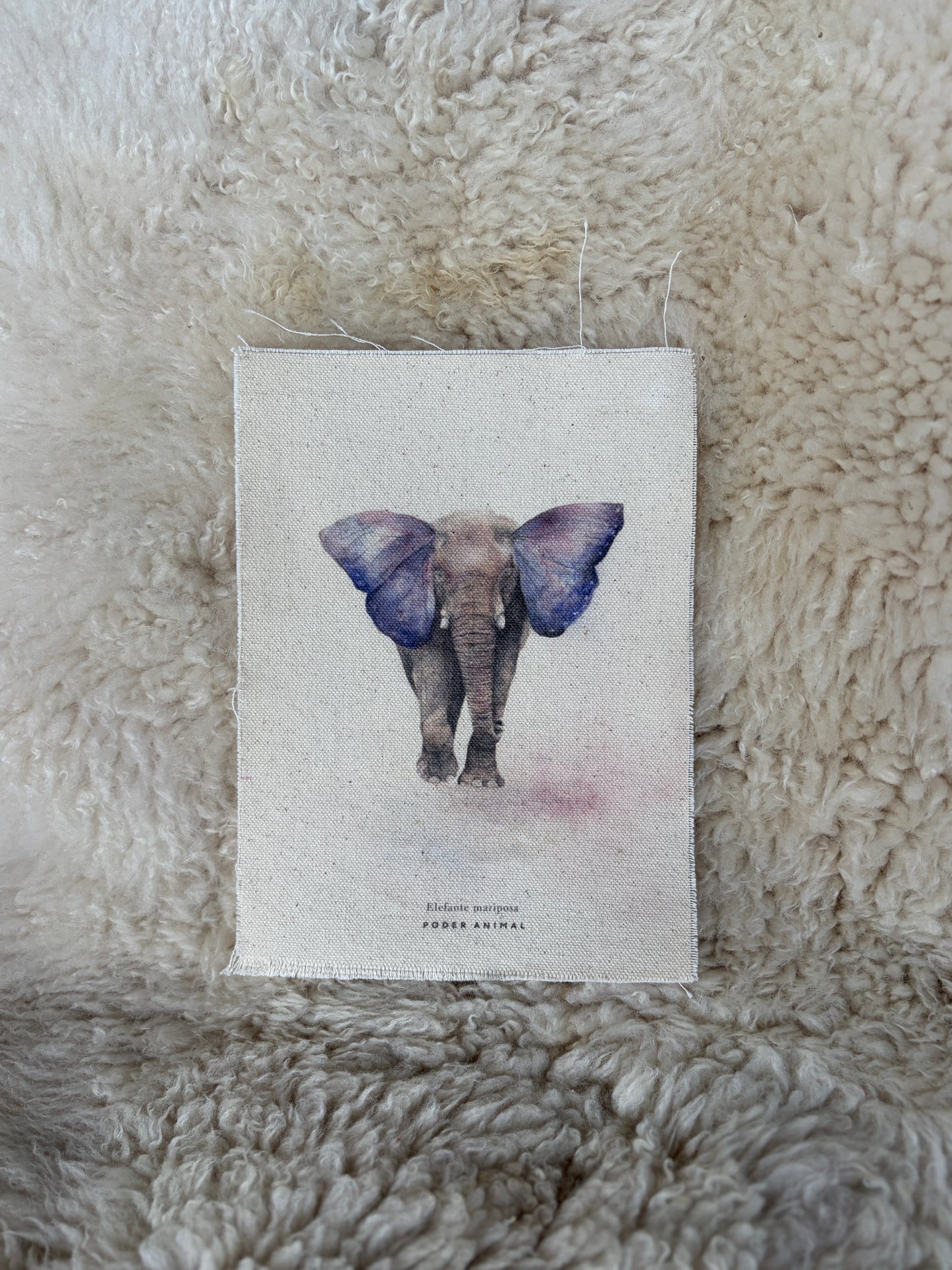 Textil  |  Elefante Mariposa
