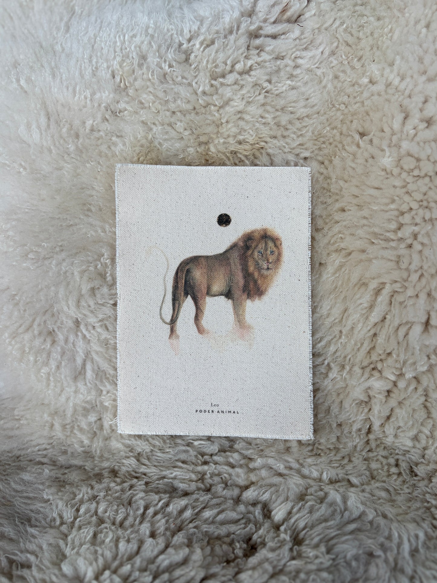 Banderín Colección Zodiaco