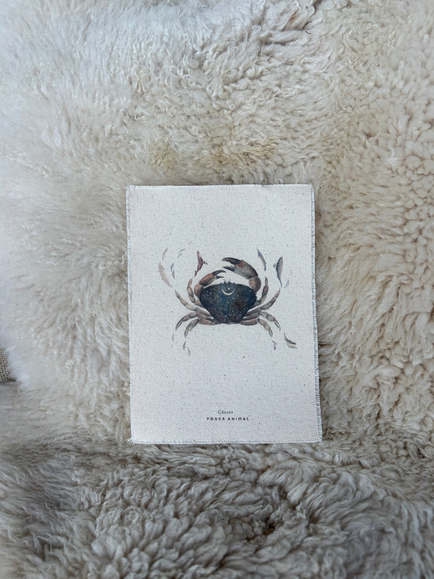 Banderín Colección Zodiaco