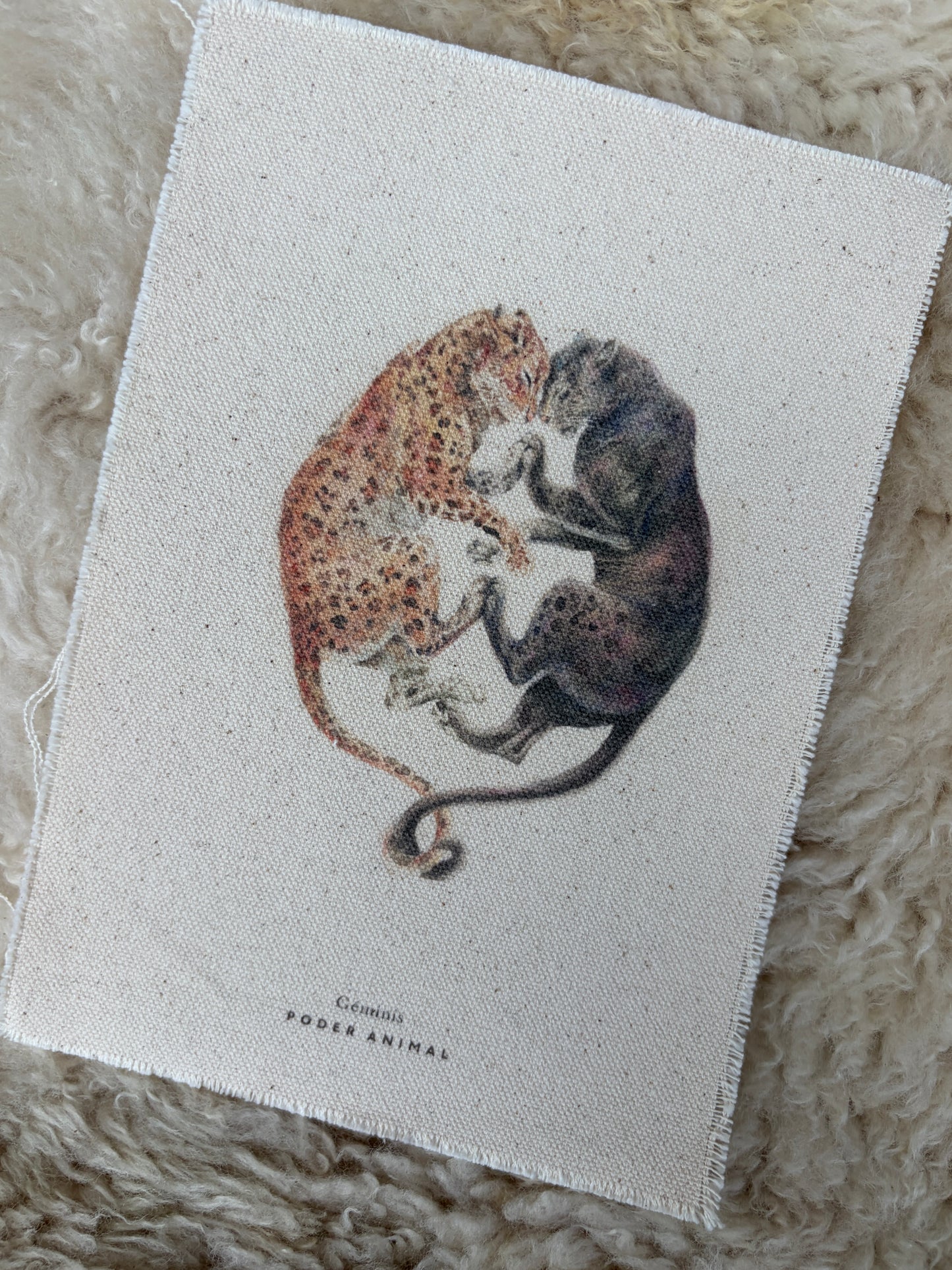 Banderín Colección Zodiaco