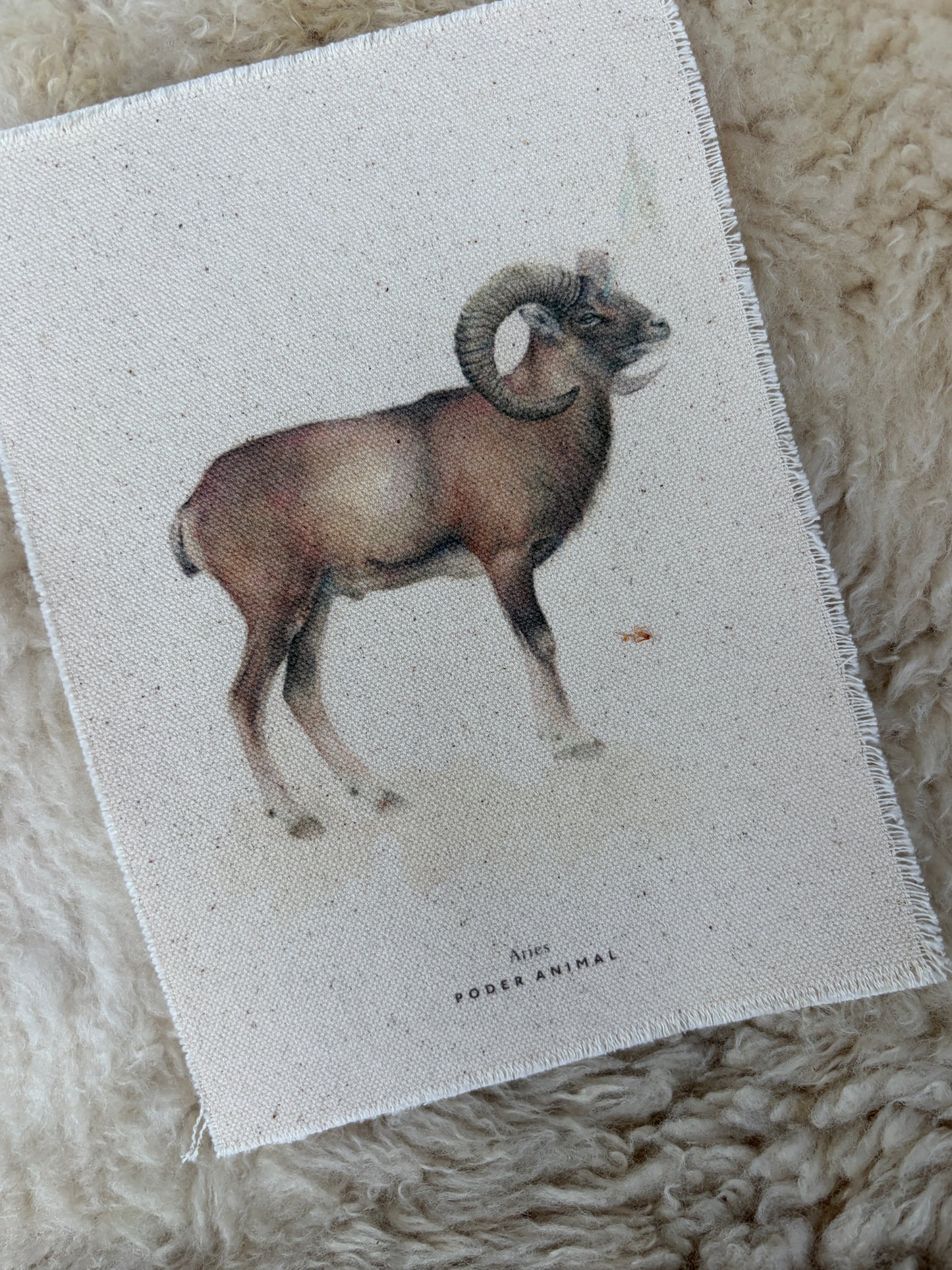 Banderín Colección Zodiaco