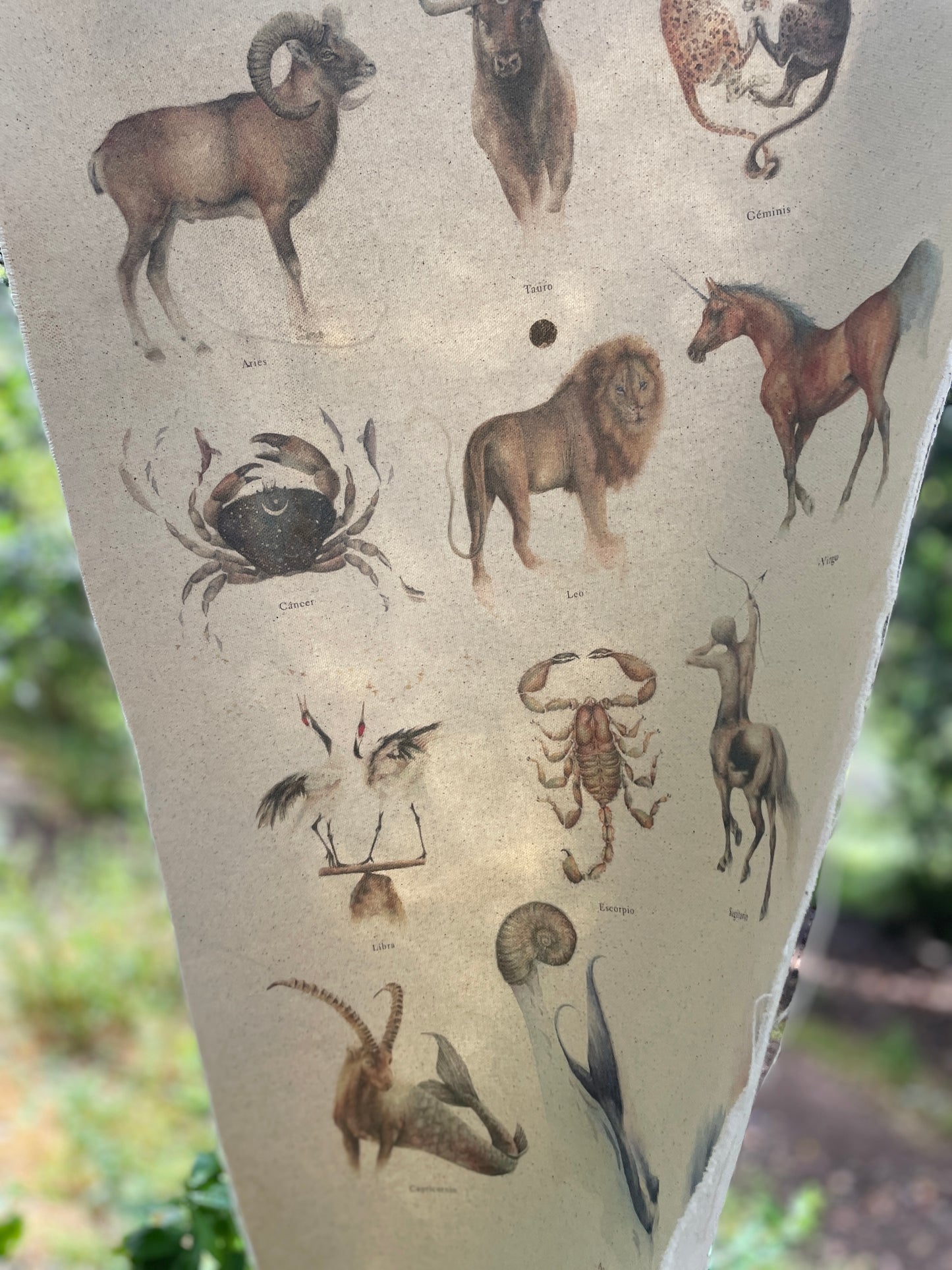 Textil  |  Colección Zodiaco