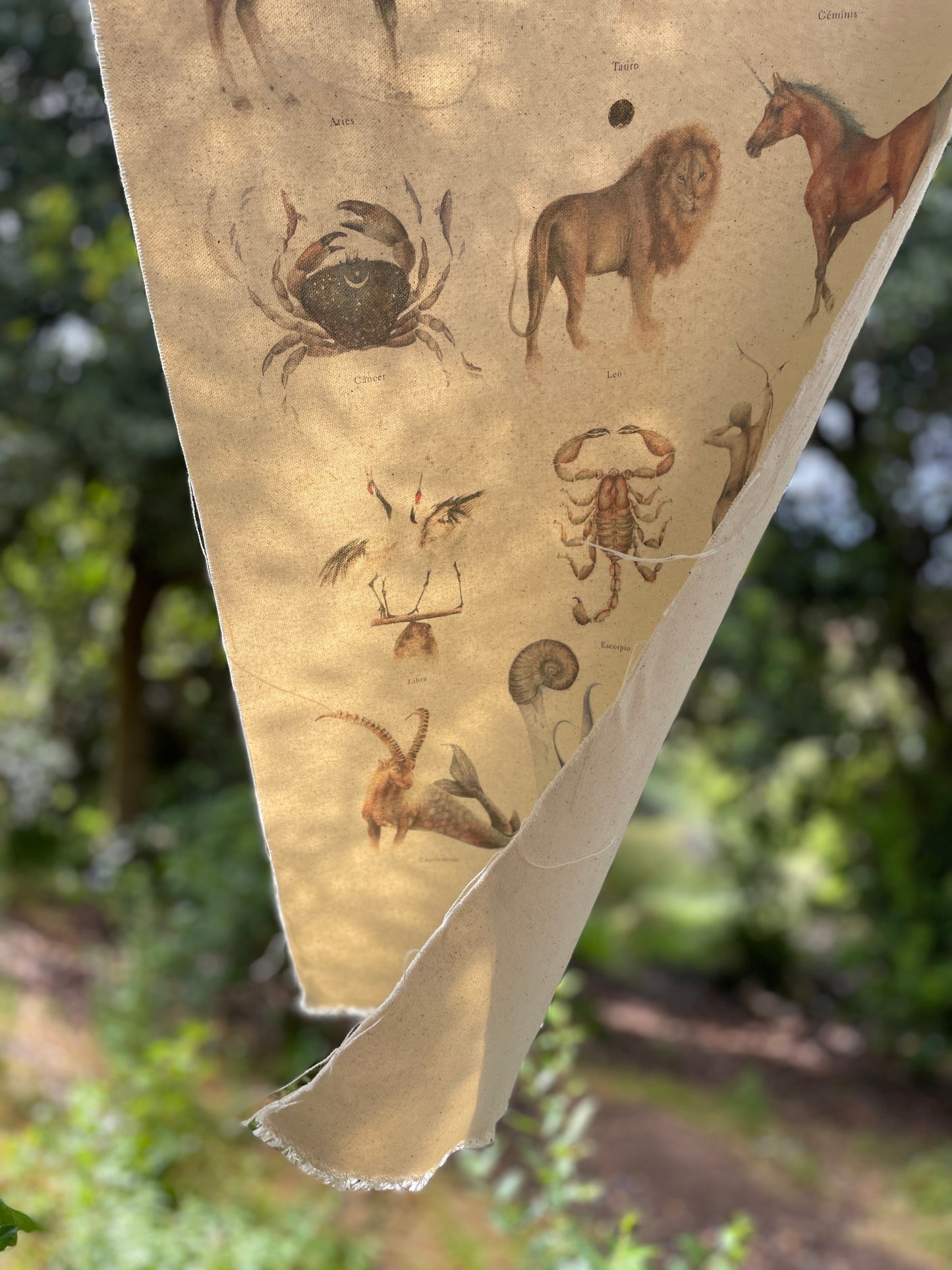 Textil  |  Colección Zodiaco