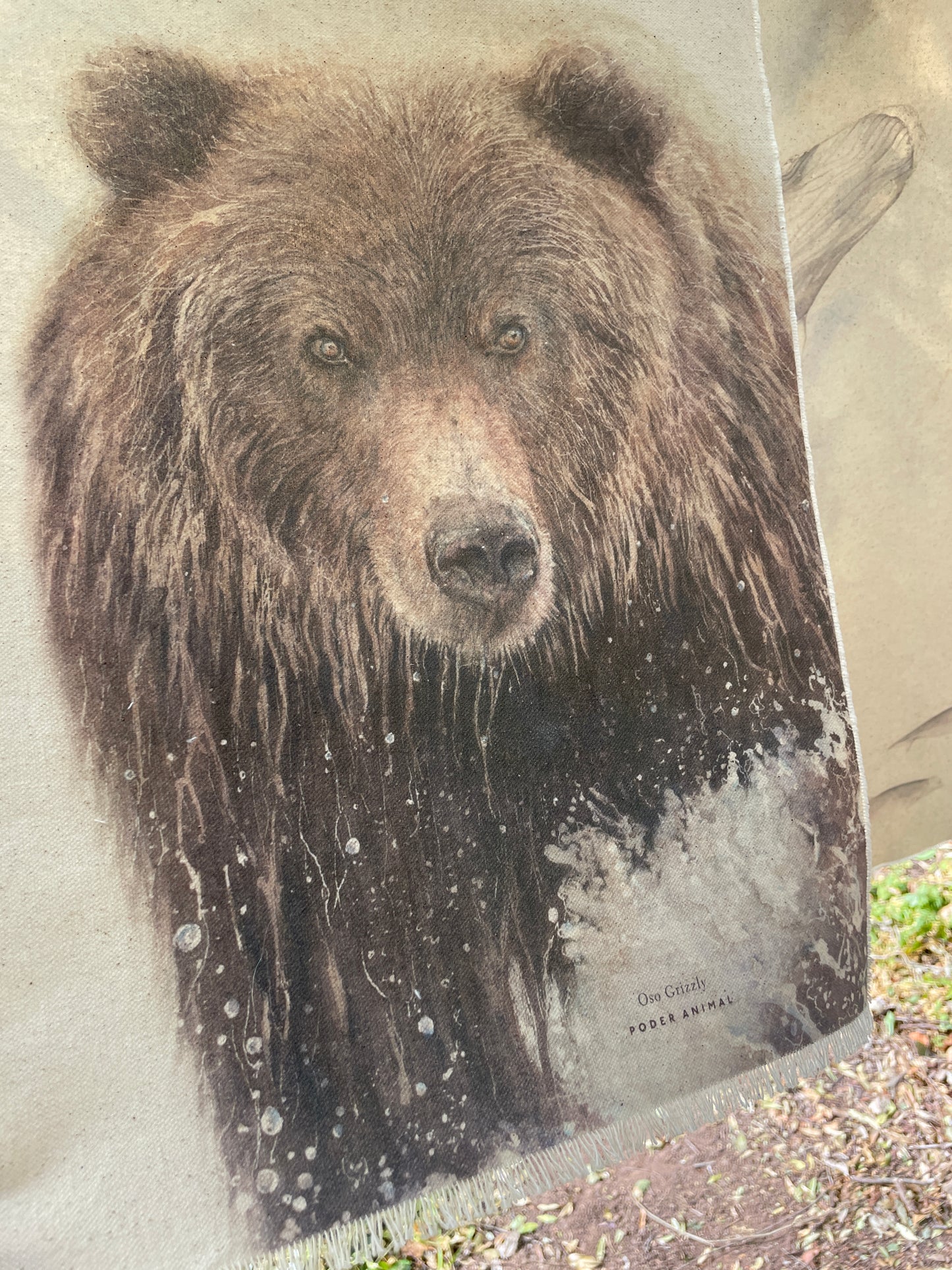 Textil  |  Oso