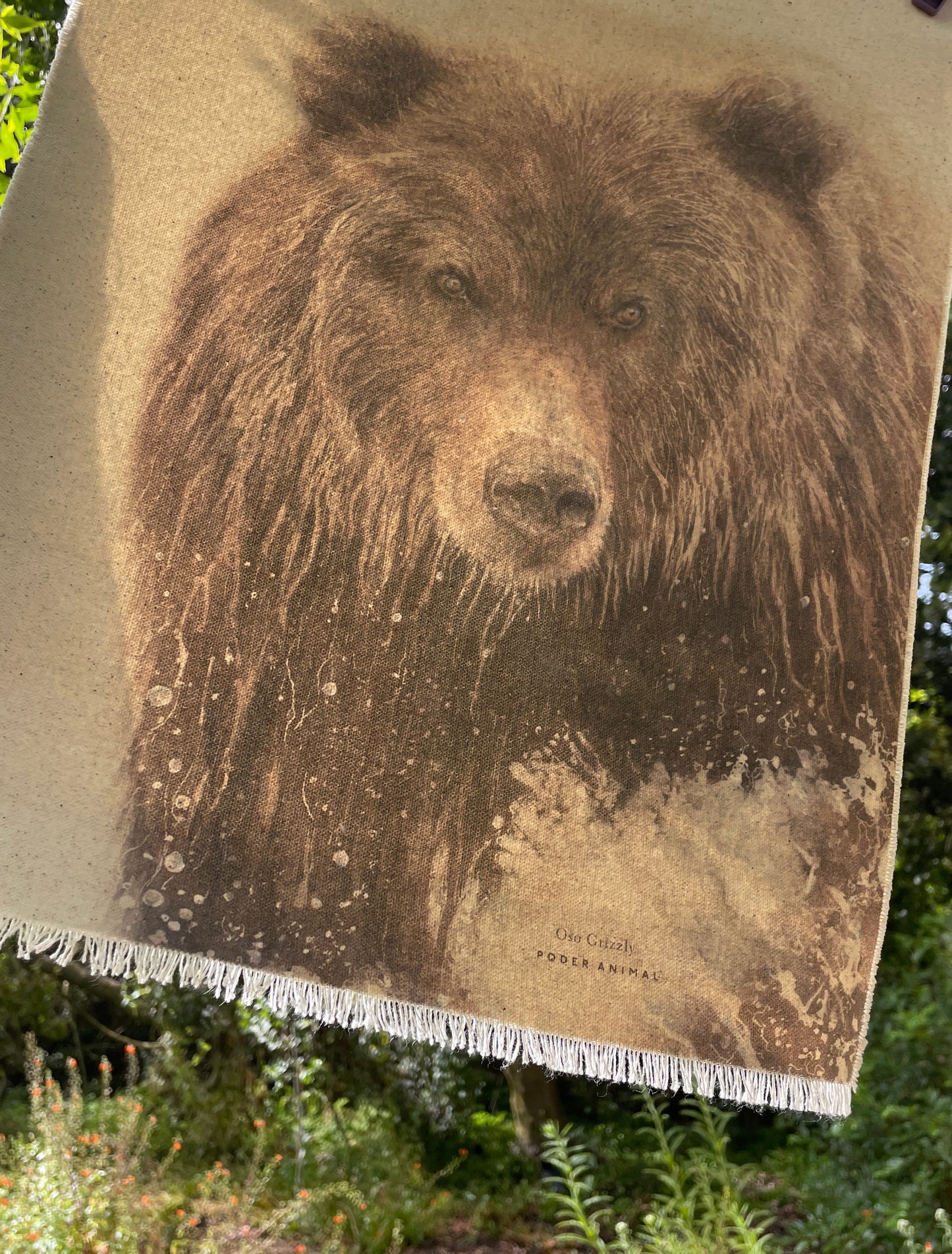 Textil  |  Oso
