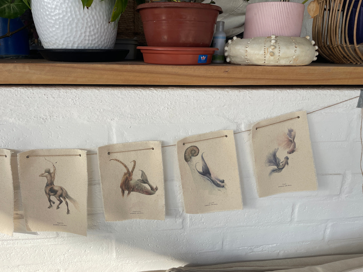 Banderín Colección Zodiaco