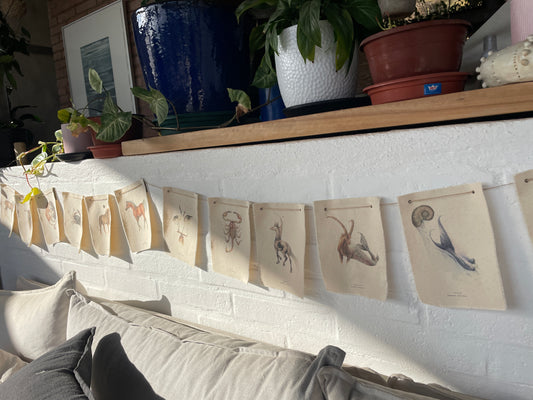 Banderín Colección Zodiaco